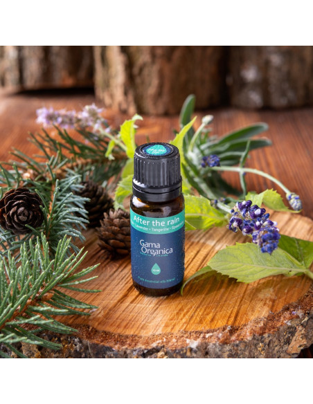 Етеричен бленд After the Rain