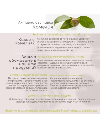 Комплект Без аромат: Универсален почистващ препарат + Препарат за под