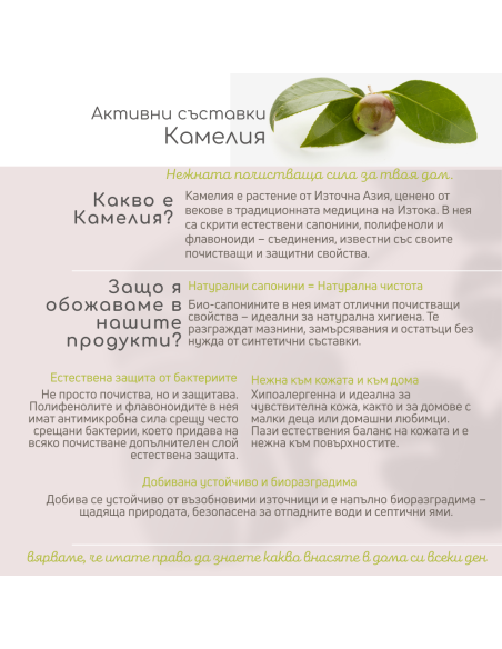 Комплект Без аромат: Универсален почистващ препарат + Препарат за под